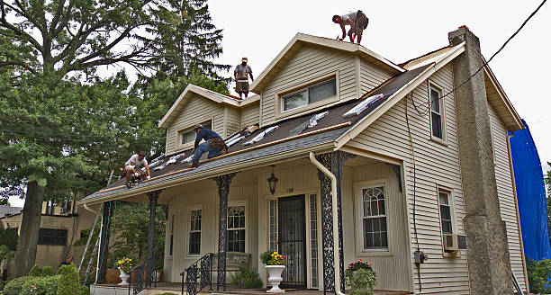 Best Storm Damage Roof Repair  in Aurora, MO